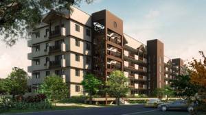 The redwoods single row building