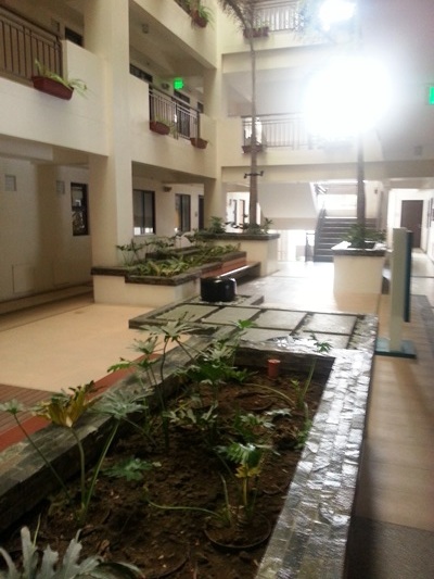 Arista Place Update (5)