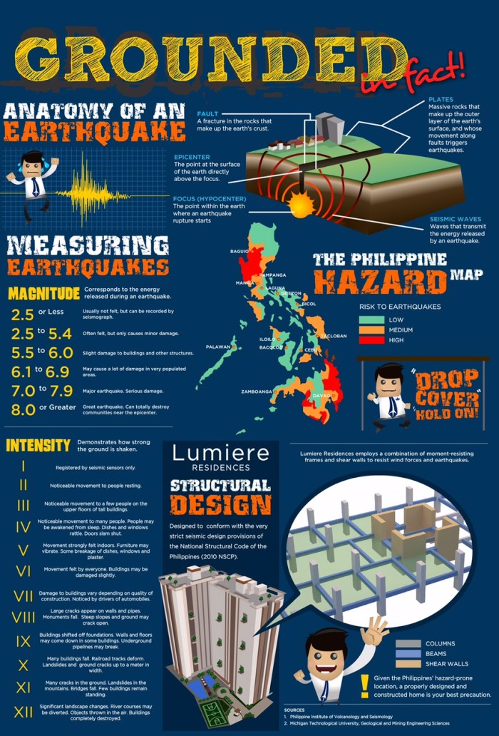 LMR Infographic