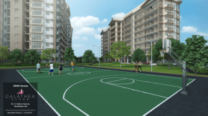 Calathea Place Basketball Court